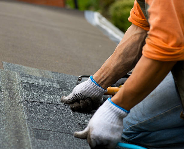 Roof Gutter Cleaning in Bloomer, WI